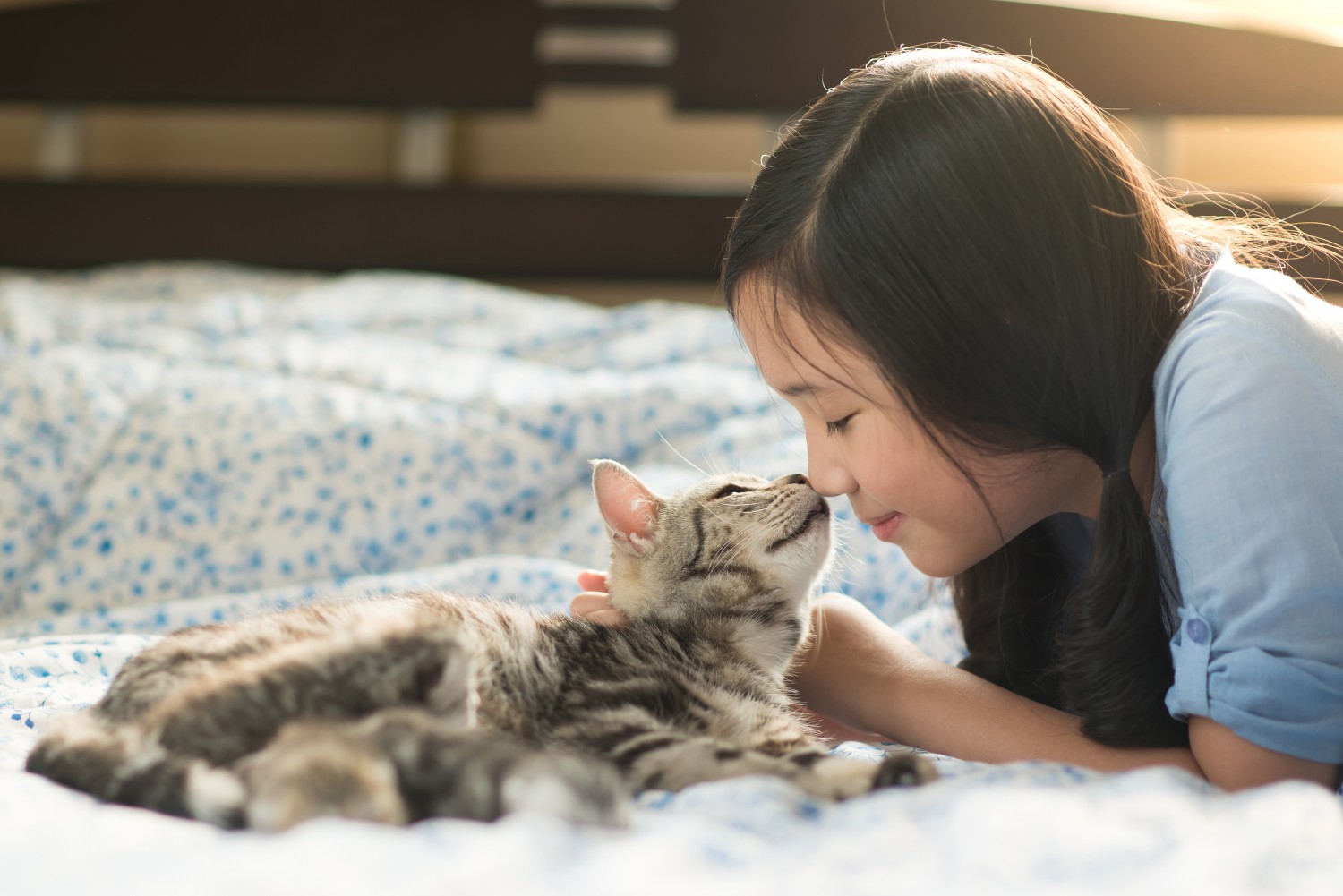 Veterinary Behavior Consultations - Asheville, NC - Girl with cat
