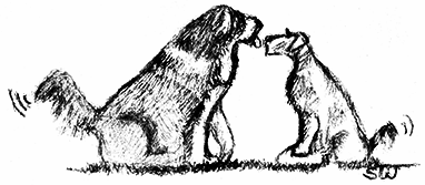 Two Dogs