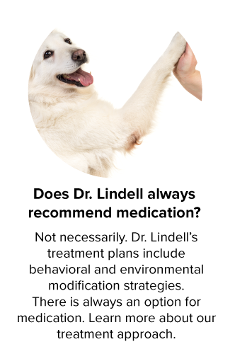 Does Dr. Lindell always recommend medication?