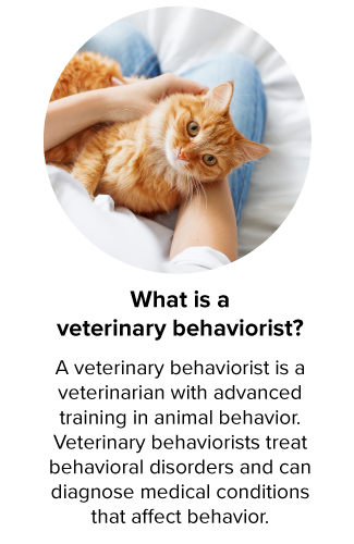 What is a veterinary behaviorist?